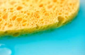 Foam